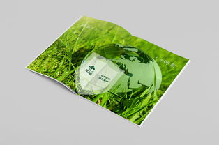 圓顆粒鉀肥產品手冊 高效農業的營養之選
